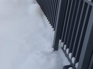 Kiemo vartų priežiūra žiemos metu